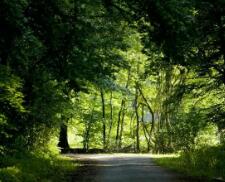 2012伦敦奥运男足分组和比分(2012伦敦奥运会足球比赛分组情况是什么)